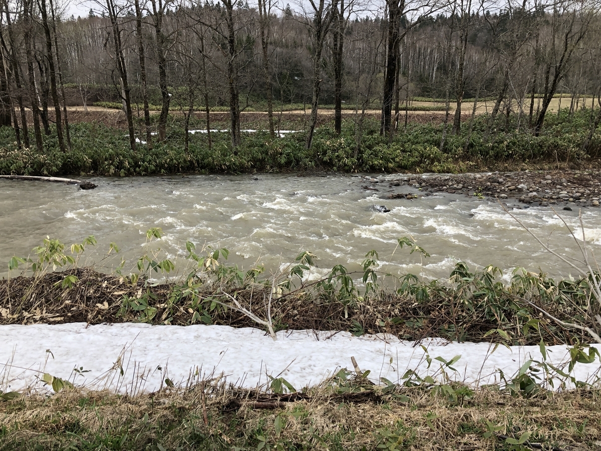 f:id:kotatusima:20190529141129j:plain