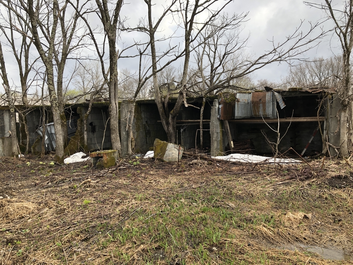 f:id:kotatusima:20190529141227j:plain