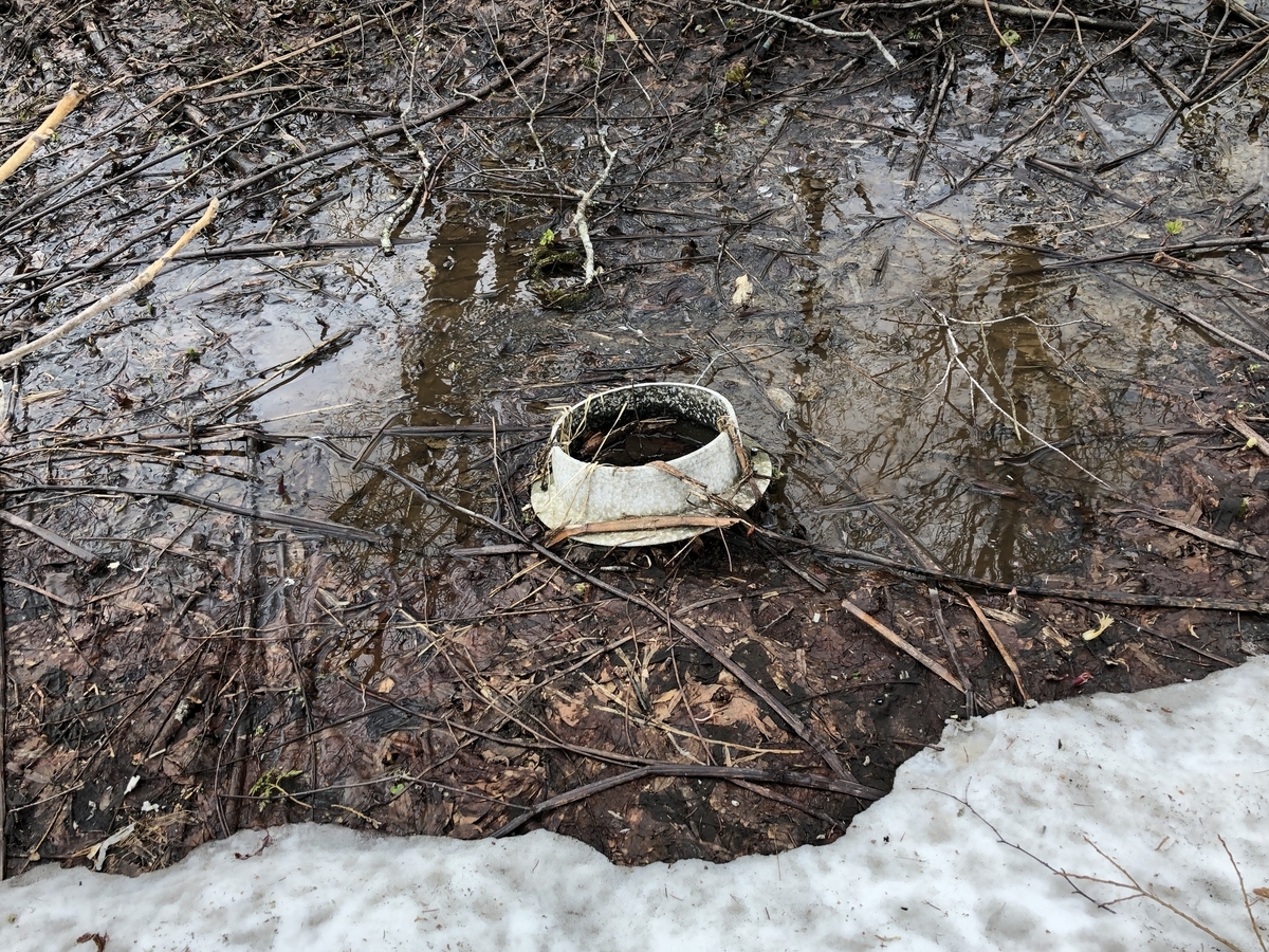 f:id:kotatusima:20190529141234j:plain