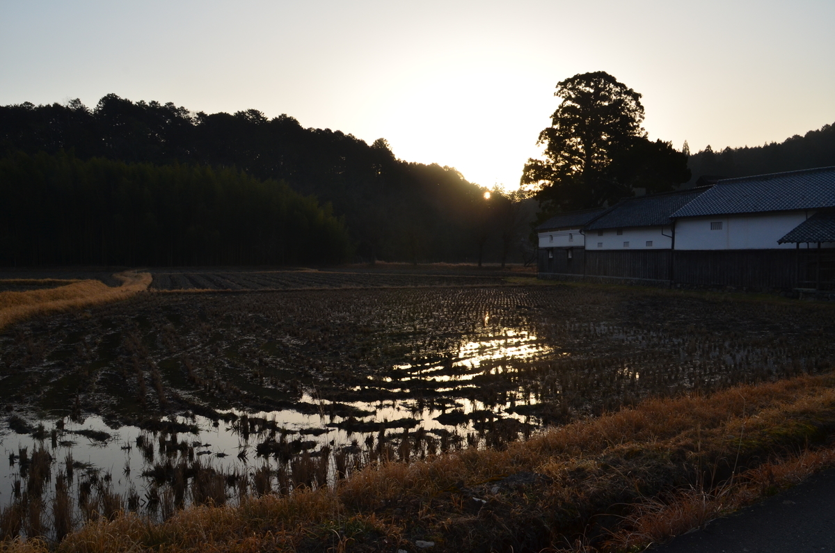 f:id:kotatusima:20220126233704j:plain