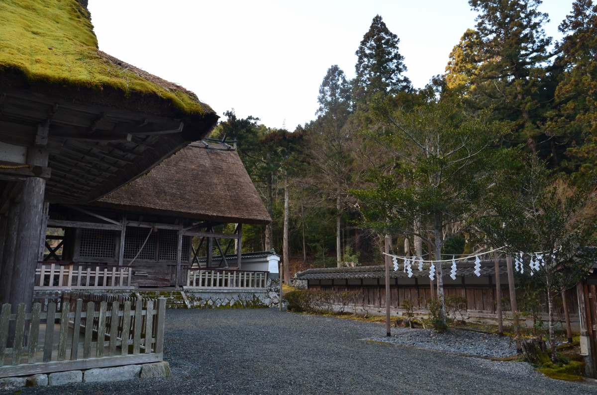 f:id:kotatusima:20220130233655j:plain