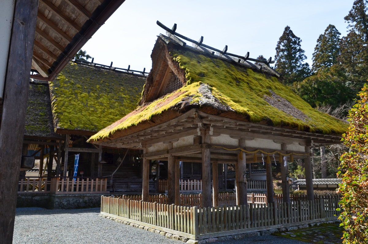 f:id:kotatusima:20220131223333j:plain