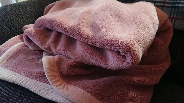 f:id:kote2bengal:20211218232109j:image