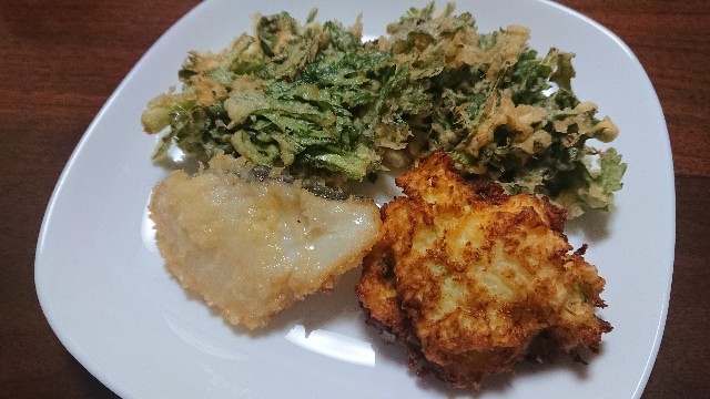 f:id:kote2bengal:20220205222407j:image