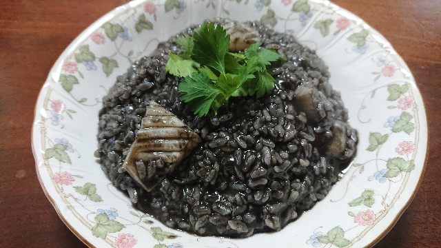 f:id:kote2bengal:20220213130418j:image