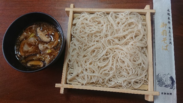 f:id:kote2bengal:20220402125912j:image