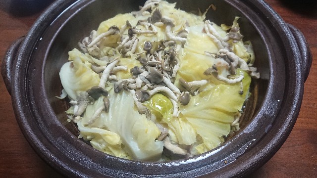 f:id:kote2bengal:20220504194043j:image