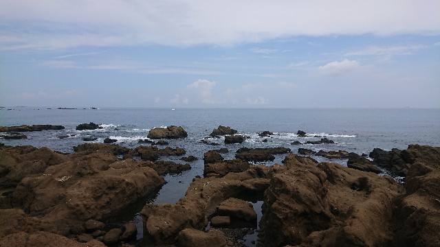 f:id:kote2bengal:20220823200954j:image