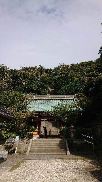 f:id:kote2bengal:20220823201309j:image