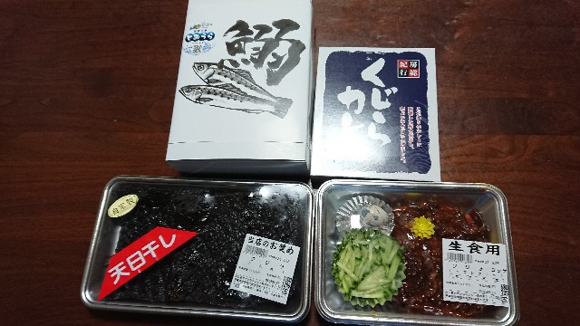 f:id:kote2bengal:20220823201509j:image