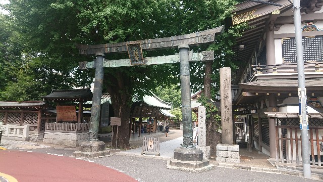 f:id:kote2bengal:20220824190249j:image