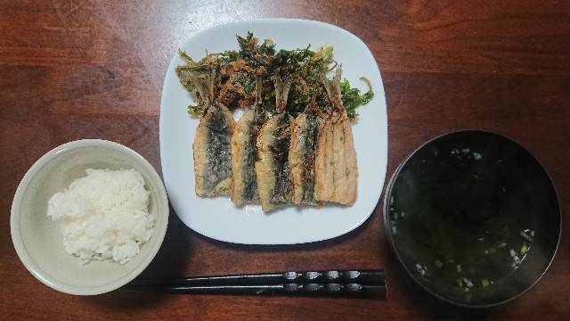 f:id:kote2bengal:20220825221134j:image