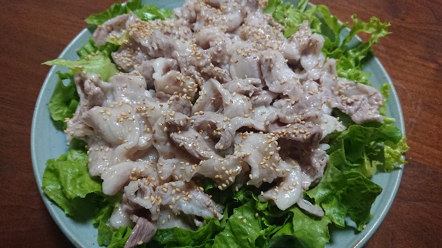 f:id:kote2bengal:20220826225228j:image