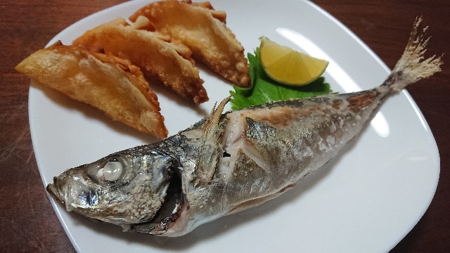 f:id:kote2bengal:20220903192232j:image