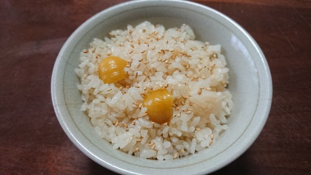 f:id:kote2bengal:20220925085112j:image