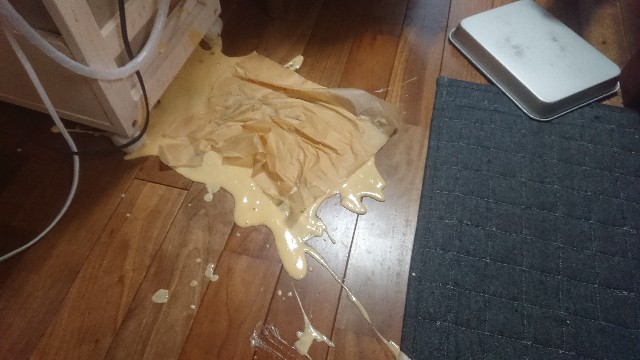 f:id:kote2bengal:20230101080958j:image