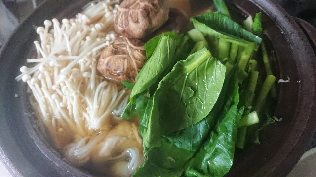 f:id:kote2bengal:20230115231354j:image