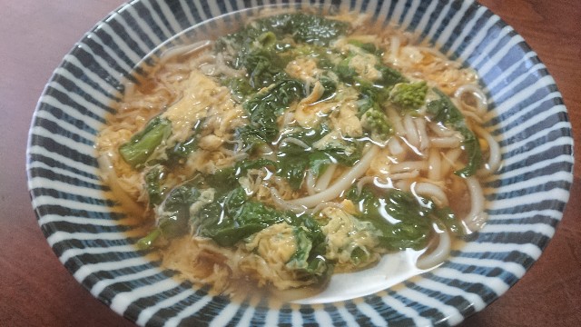 f:id:kote2bengal:20230211132826j:image