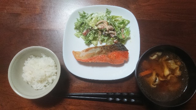 f:id:kote2bengal:20230223232302j:image