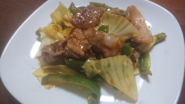 f:id:kote2bengal:20230304214117j:image