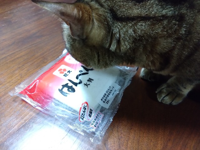 f:id:kote2bengal:20230514084736j:image