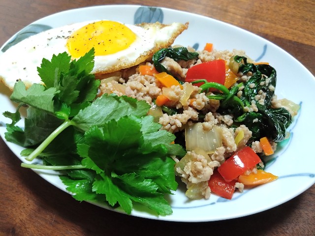 f:id:kote2bengal:20230604122545j:image