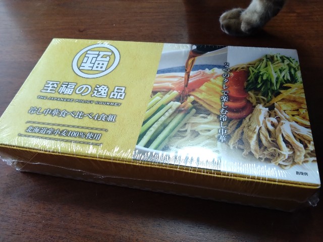 f:id:kote2bengal:20230610122553j:image