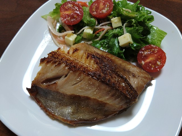 f:id:kote2bengal:20230625194831j:image