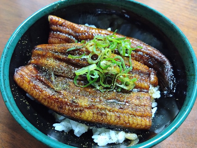 f:id:kote2bengal:20230714235943j:image