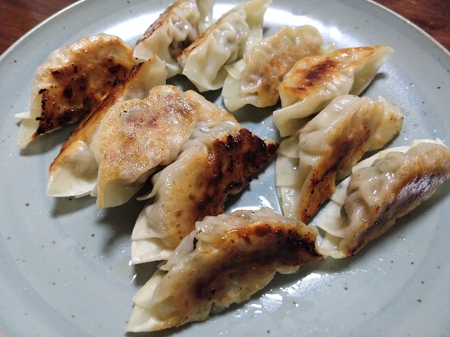 f:id:kote2bengal:20230724064316j:image