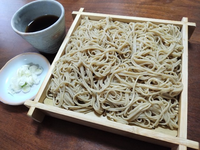 f:id:kote2bengal:20230819135410j:image