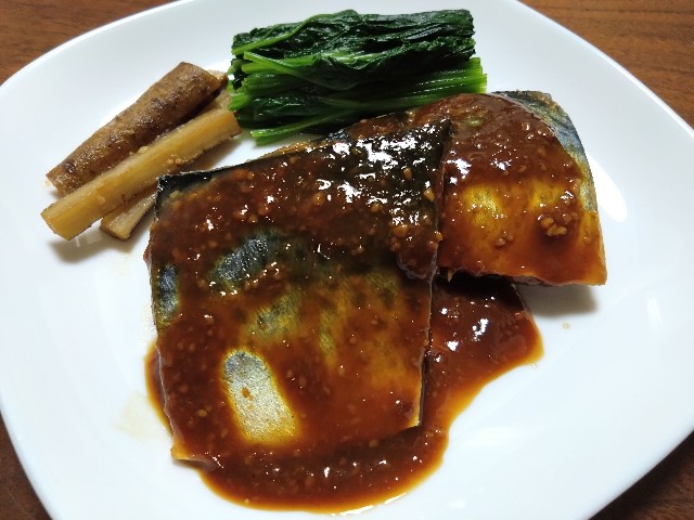 f:id:kote2bengal:20230827233135j:image