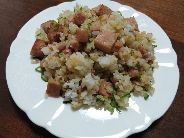 f:id:kote2bengal:20230916191238j:image