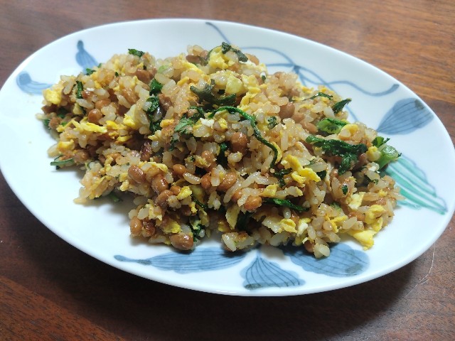 f:id:kote2bengal:20240225162951j:image