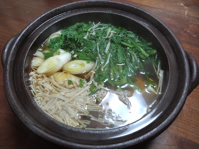 f:id:kote2bengal:20240225164350j:image