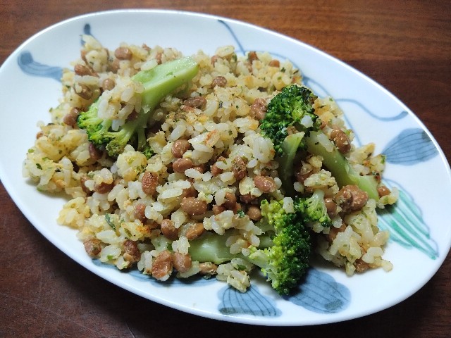 f:id:kote2bengal:20240721092341j:image