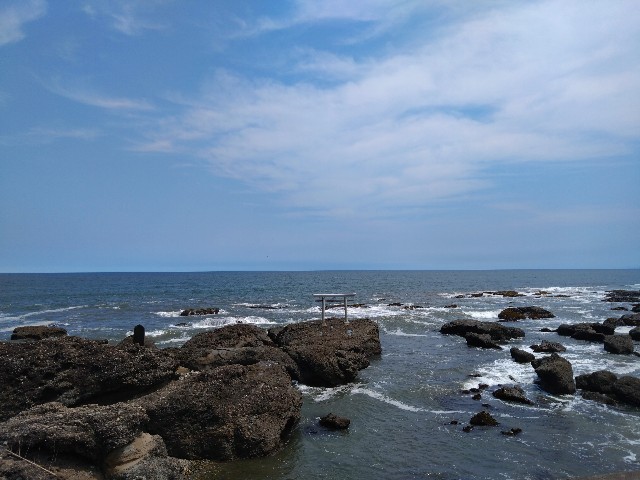 f:id:kote2bengal:20240805211011j:image