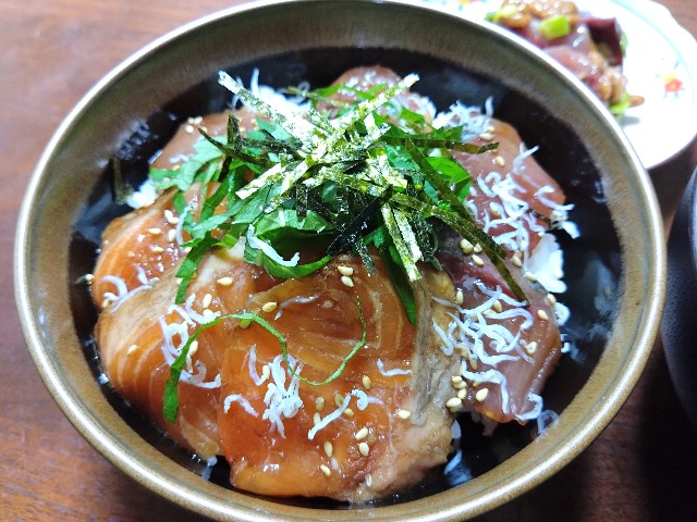 f:id:kote2bengal:20240824183813j:image