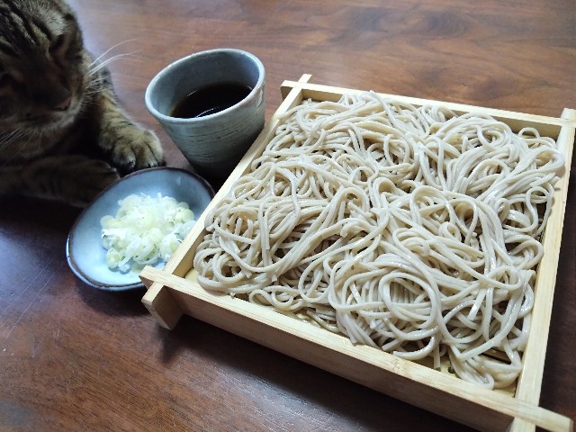 f:id:kote2bengal:20240913121156j:image