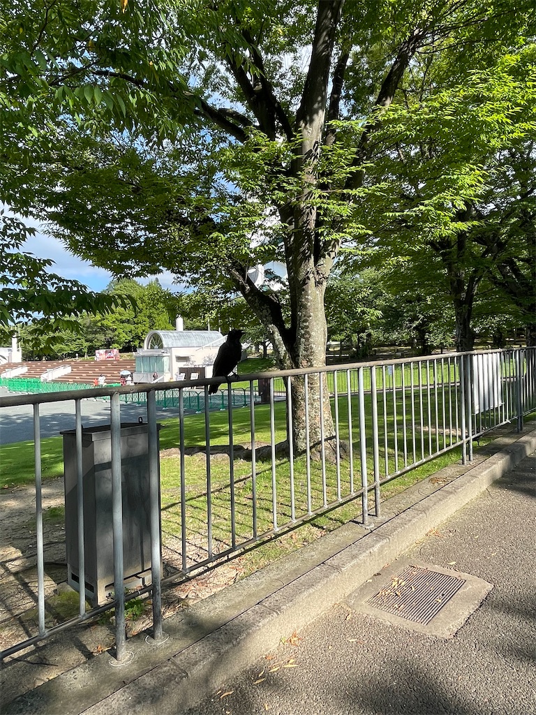 f:id:kotean:20260721223202j:image