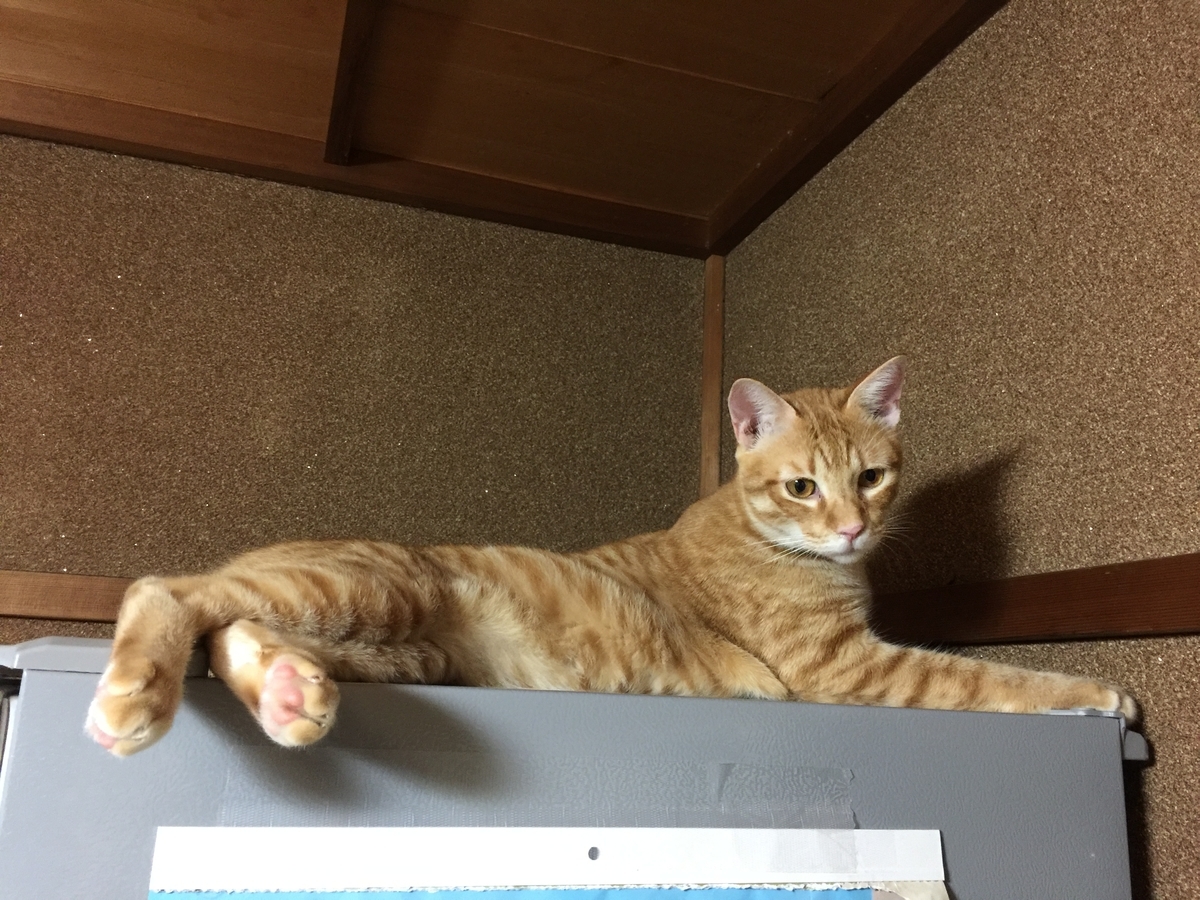 f:id:koteao:20190918081333j:plain