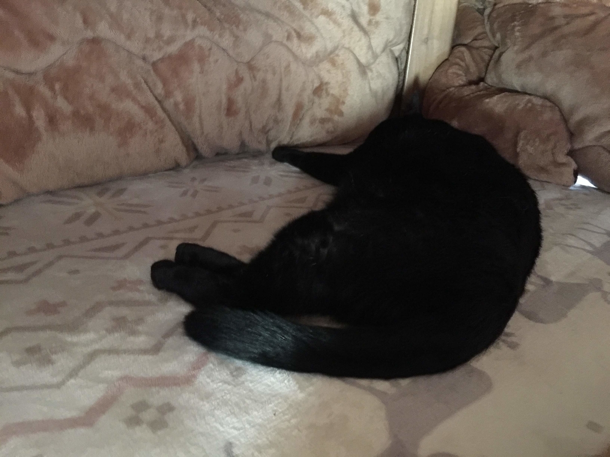 f:id:koteao:20191028090331j:plain