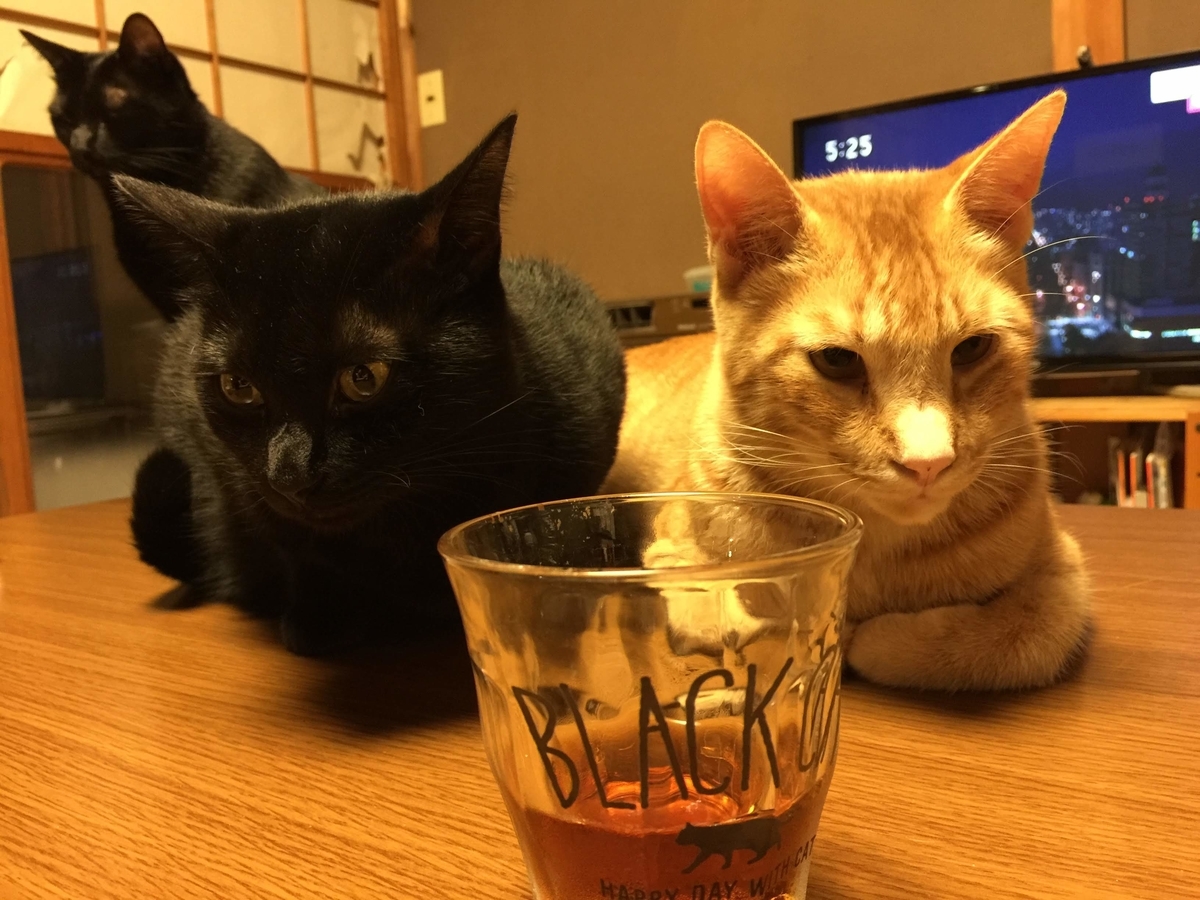 f:id:koteao:20191101103843j:plain