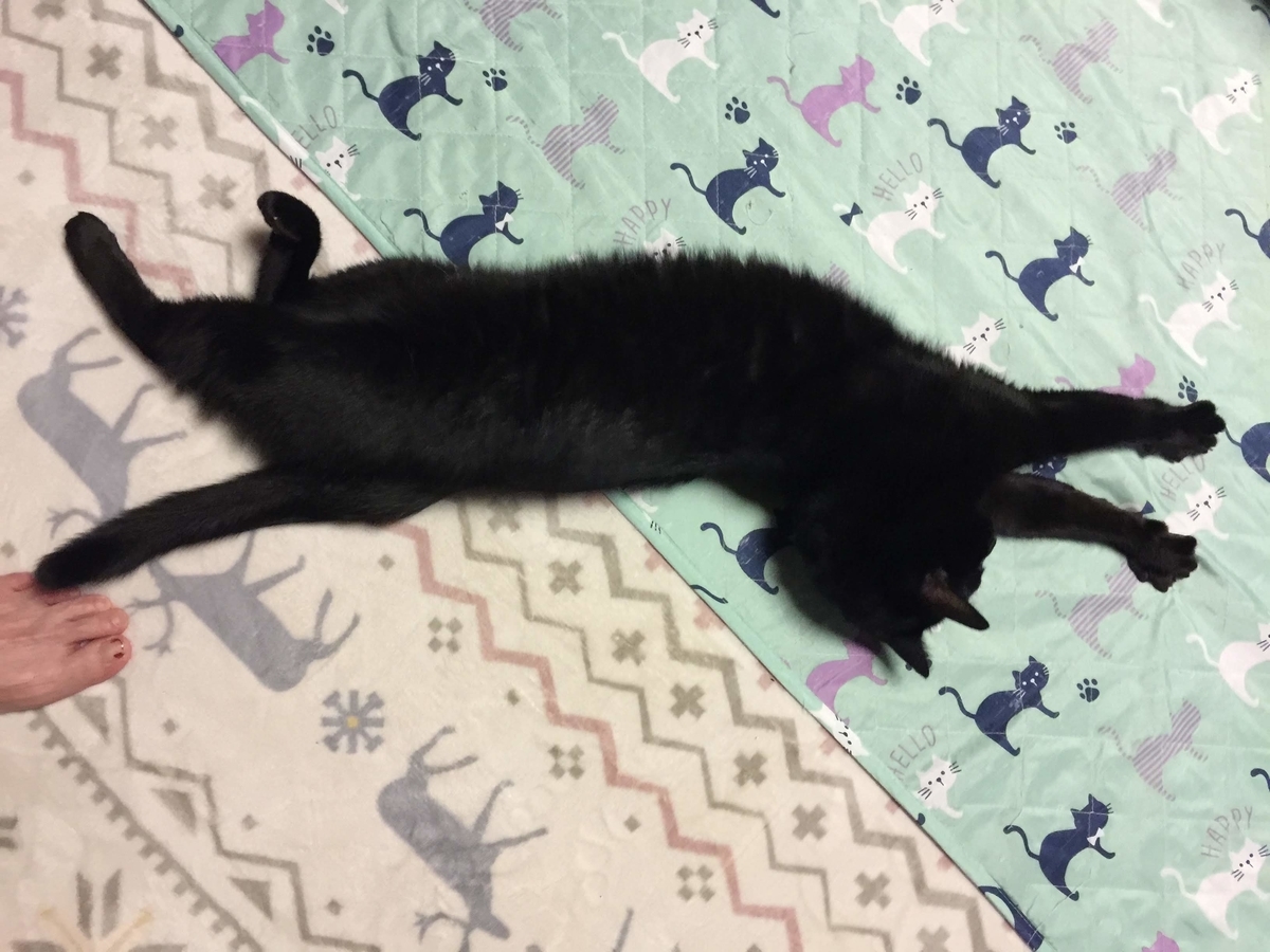 f:id:koteao:20191101104129j:plain