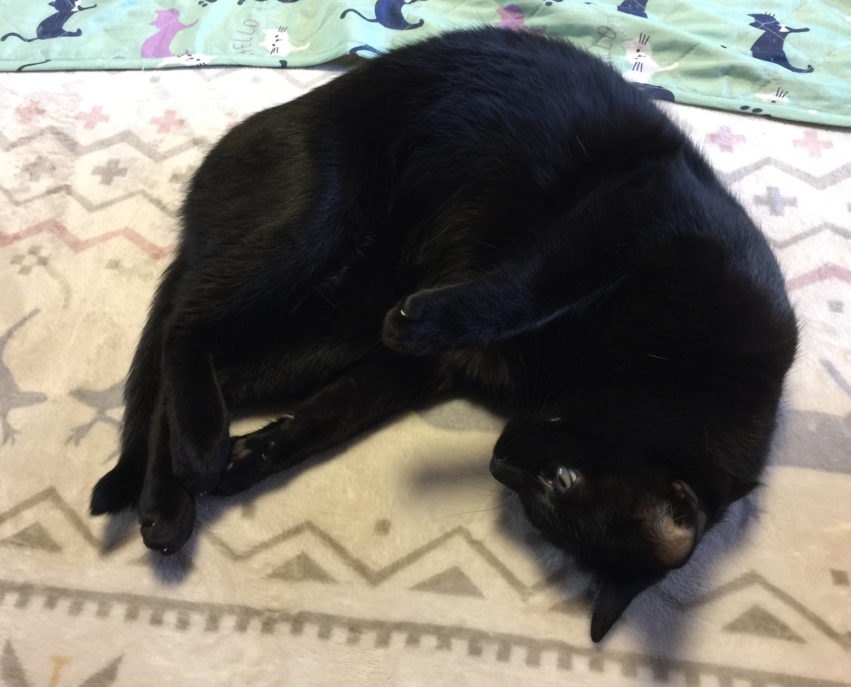 f:id:koteao:20191201134404j:plain