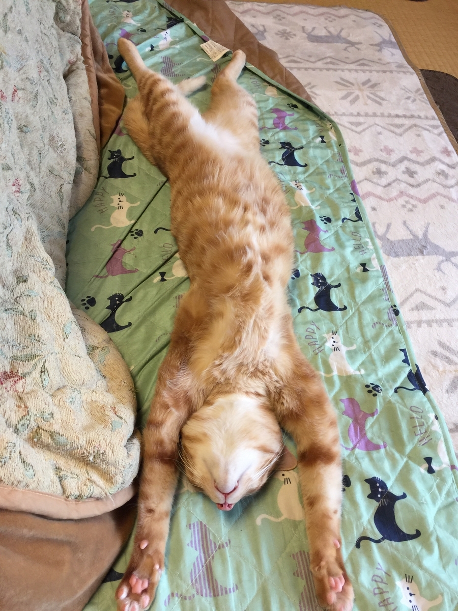 f:id:koteao:20191229084958j:plain