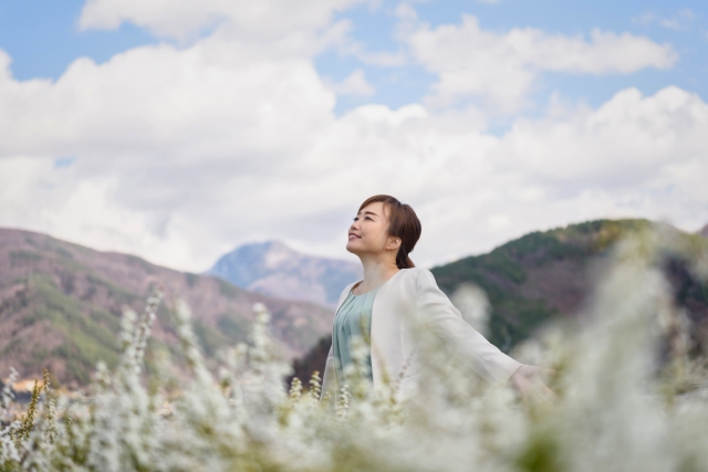 f:id:koteasa:20201025193434j:plain