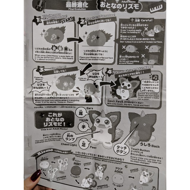 f:id:kotechama:20191022163002j:image