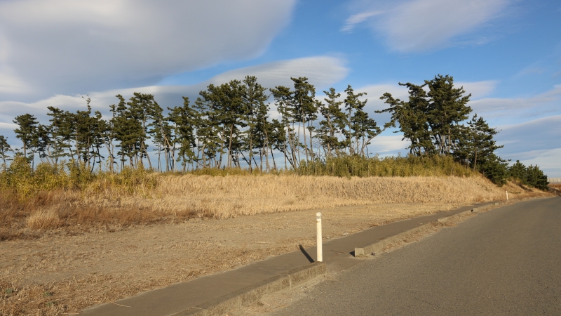 f:id:koteijing:20191219041710j:plain f:id:koteijing:20191219041710j:plain