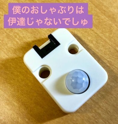 Motion Sensor